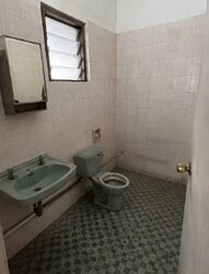 Serangoon Garden Estate (D19), Semi-Detached #582043021